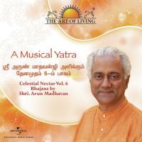 A Musical Yatra Celestial Nectar - The Art Of Living, Vol. 6 songs mp3