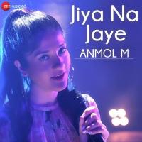 Jiya Na Jaye Anmol Malik Song Download Mp3