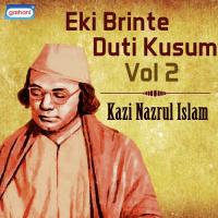 Eki Brinte Duti Kusum Vol 2 songs mp3