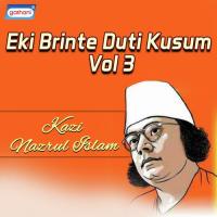 Eki Brinte Duti Kusum Vol 3 songs mp3