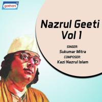 Nazrul Geeti Vol 1 songs mp3