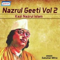 Nazrul Geeti Vol 2 songs mp3