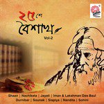 Tomarei Koriachhi Jiboner Dhrubotara Durnibar Song Download Mp3