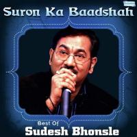 Ye Kuch Kuch Kya Hai Sudesh Bhonsle,Meghna Song Download Mp3