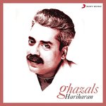 Ajnabi Hai Na Hariharan Song Download Mp3