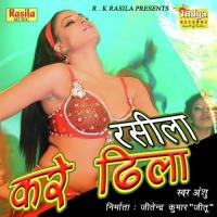 Rasila Kare Dheela Anshu Song Download Mp3