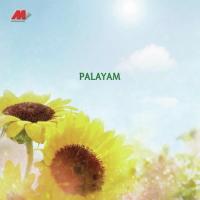 Anthimaana S.P. Venkatesh,M.G. Sreekumar,Sindhu Song Download Mp3