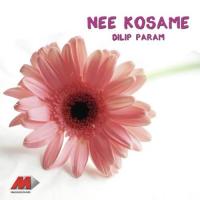 Nee Kosame songs mp3