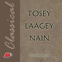 Tosey Laagey Nain songs mp3