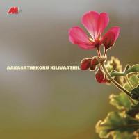 Aakasathekoru Kilivaathil songs mp3