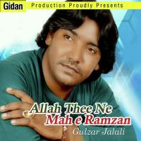 Usto Paek Aey Madina Gulzar Jalali Song Download Mp3