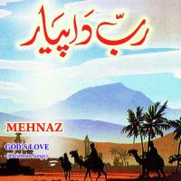 Meri Jaan Hai Karti Mehnaz Song Download Mp3