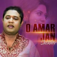 Ami Janina Shekhor Song Download Mp3