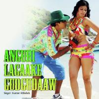 Anguri Lagaake Gudgudaawela songs mp3