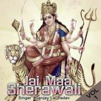 Jai Maa Sherawali Vol. 1 songs mp3