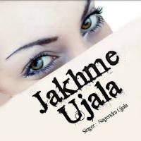 Jakhme Ujala songs mp3