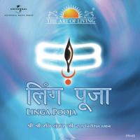 Linga Pooja (Hindi Version) Sri Sri Ravi Shankar Song Download Mp3