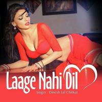 Laage Nahi Dil songs mp3