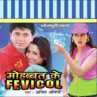 Mohabbat Ke Fevicol songs mp3