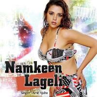 Namkeen Lageli songs mp3