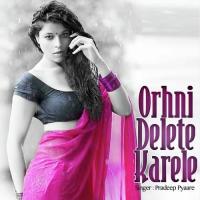 Orhni Delete Karele songs mp3