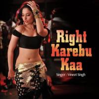 Daru Dudh Mein Mila Ke Vineet Singh Song Download Mp3