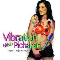 Vibration Mein Pichakari songs mp3