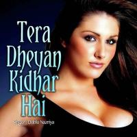 Tera Dheyan Kidhar Hai songs mp3