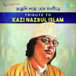 Tribute To Kazi Nazrul Islam songs mp3