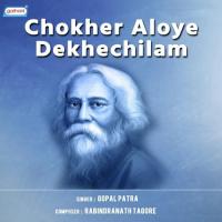 Chokher Aloye Dekhechilam songs mp3