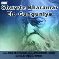 Gharete Bharamar Elo Gunguniye Sohini Song Download Mp3