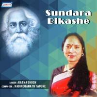 Sundara Bikashe songs mp3