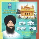 Mere Ram Bhai Gurdev Singh Ji (Hazuri Ragi Sri Darbar Sahib Amritsar) Song Download Mp3