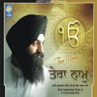 Deen Dard Niwar Thakur Rakhai Jan Ki Aap Bhai Gagandeep Singh Ji (Sri Ganga Nagar Wale) Song Download Mp3