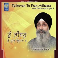 Tu Jeevan Tu Pran Adhaara songs mp3