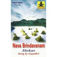 Navabridavanam And Slokas songs mp3