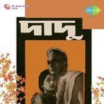 Ami Chakmaki Chakmaki Sandhya Mukherjee Song Download Mp3