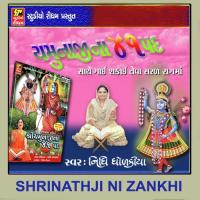 Yamunaji Na Pad 1 To 8 Nidhi Dhodkiya Song Download Mp3