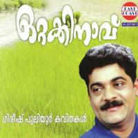 Ottakinavu songs mp3