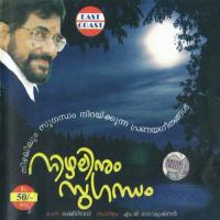 Poothakattin Arumayam Manjari Song Download Mp3
