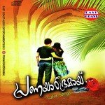Peythozhiyathe Najeem Arshad Song Download Mp3