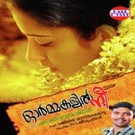 Ormakalil Nee Manjeri Song Download Mp3