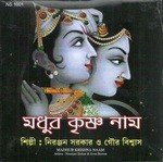 Madhur Krishna Naam songs mp3