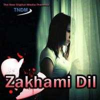 Zakhmi Dil songs mp3