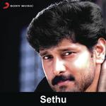Sethu songs mp3