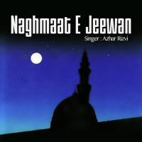 Naghmaat E Jeewan songs mp3