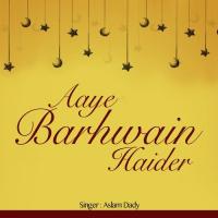 Aaye Barhwain Haider songs mp3