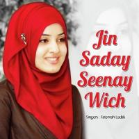 Jin Saday Seenay Wich songs mp3