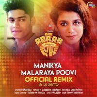 Manikya Malaraya Poovi Official Remix Vineeth Sreenivasan Song Download Mp3