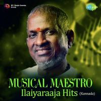 Musical Maestro Ilaiyaraaja Hits - Kannada songs mp3